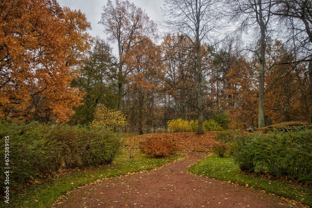 Colorful trees in autumn park