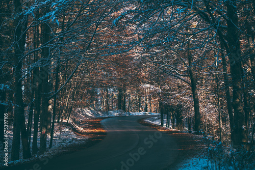 Fairy tale road through the frozen forest from the mountains. Asphalt cleared of snow in the winter season photo