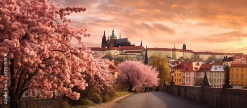 In Prague Nicholas enjoyed the vibrant city life admiring the breathtaking architecture while strolling along the winding streets lined with colorful buildings surrounded by blooming trees  photo