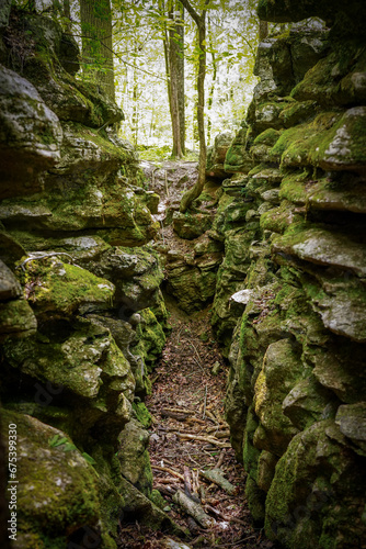 Sinkhole Path Surrounded by Mossy Rock Walls