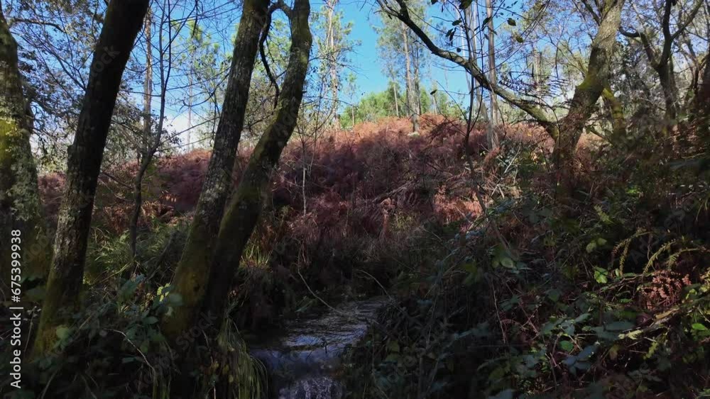 small waterfall with clear crystal water in a forest stream, nature, slow motion small waterfall with clear crystal water in a forest stream, nature, slow motion