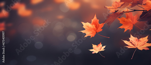 Colorful panoramic autumn background with orange leaves and blurred background