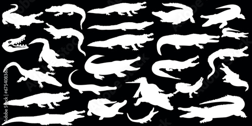 Crocodile, Alligator Vector, Illustration, White Silhouettes. lizard, Reptile, Predator, Animal, Wild, Nature, Danger, Teeth, Jaws, Carnivore, Swamp, Nile, Africa, Australia, American, Caiman, Gharial