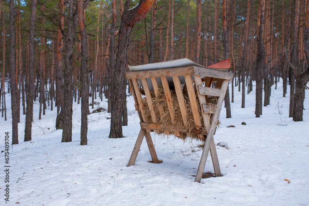 Animal feeder in the winter forest