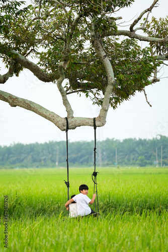 Asian young sibling playing swing under the tree over the rice field in leisure time