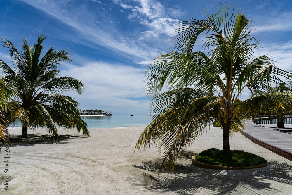 Idyllic scene of two palm trees in a sunny beach landscape in the Maldives. Idyllic scene of two palm trees in a sunny beach landscape in the Maldives.