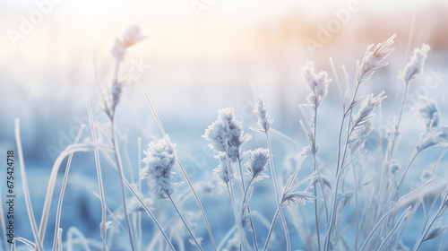 Frozen icy flowers in winter. Frost-covered wildflowers in winter field on the evening or morning. ai generative