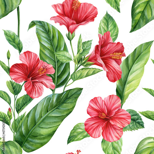 Tropical hibiscus flowers and Palm leaves on white background, watercolor botanical flora. Seamless patterns.