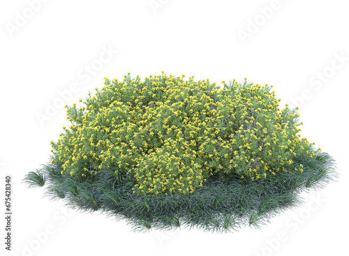 Various types of plants bushes shrub and small plants isolated	