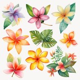 Set of watercolor plumeria flowers on white background clipart