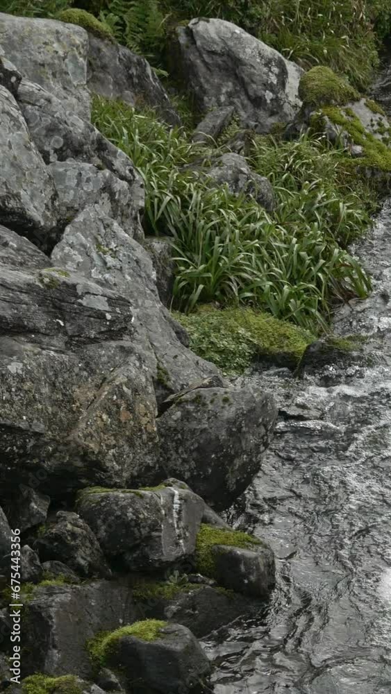 A lively mountain stream, frothy and effervescent, flows rapidly across rocky surroundings. Vertical video, pano. A lively mountain stream, frothy and effervescent, flows rapidly across rocky surroundings. Vertical video, pano.
