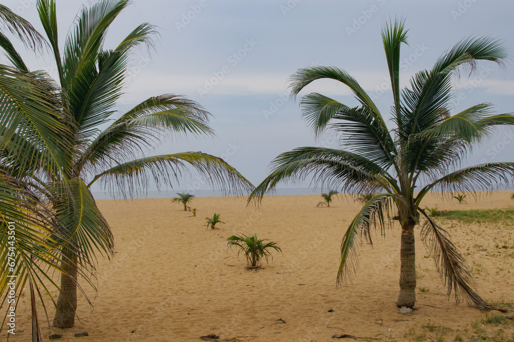 Beautiful view of a beach in Grand-Popo