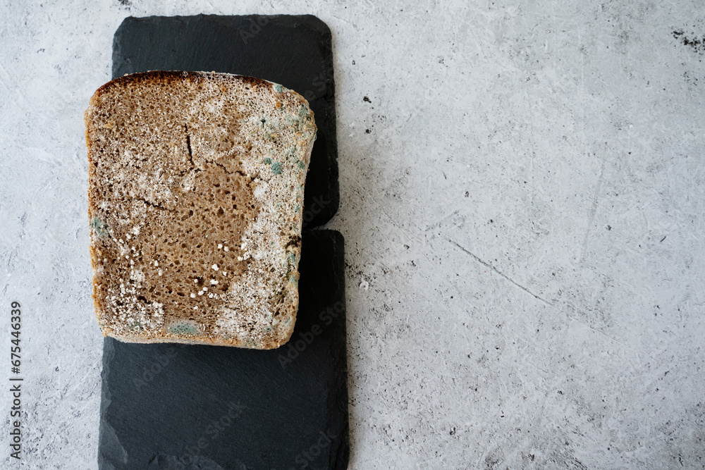 piece of rye bread with mold, Fungus on bread, mold on bread covered ...