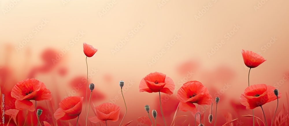 In the beautiful background of a blooming field the vibrant red poppy flowers add a touch of nature s beauty to the season of harvest showcasing the breathtaking flora - obrazy, fototapety, plakaty 