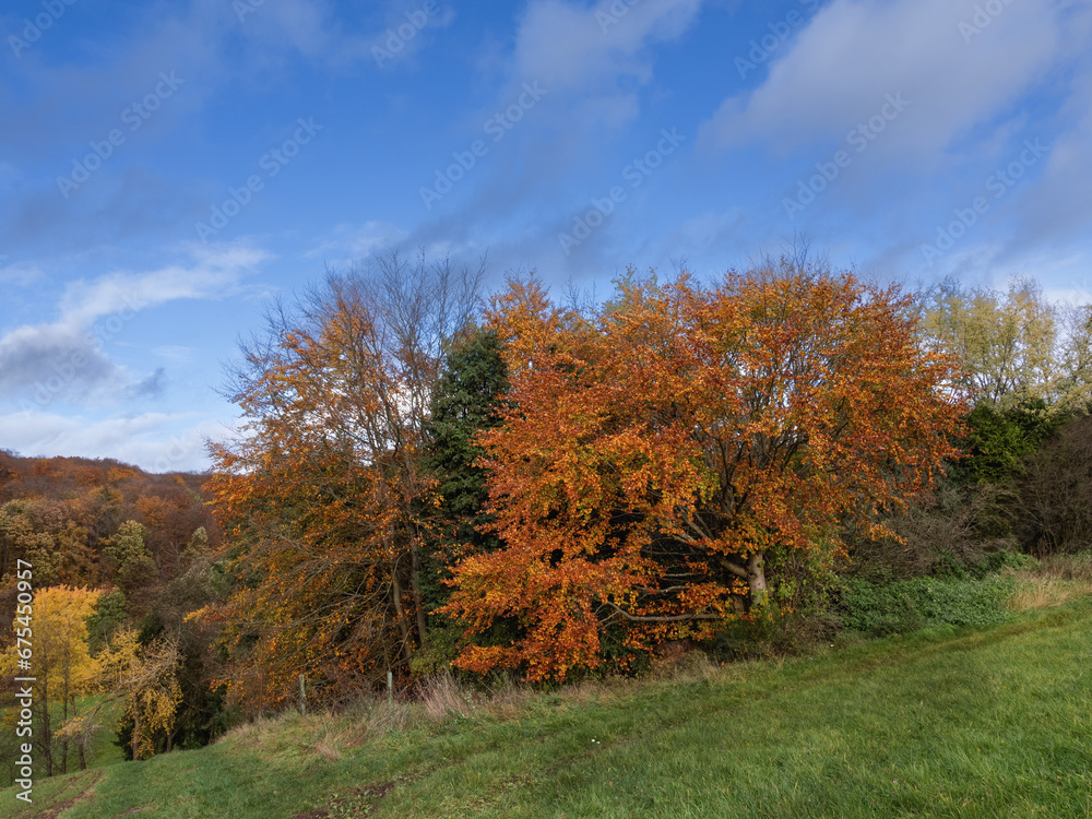 Herbstzeit auf Feld und Flur, Farben explodieren