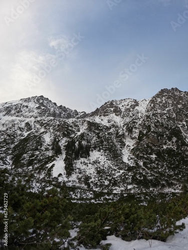 a snowy mountain with tall trees and a small valley in the distance