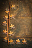 Sweet cookie characters with chocolate on cinnamon sticks on a dark wooden background