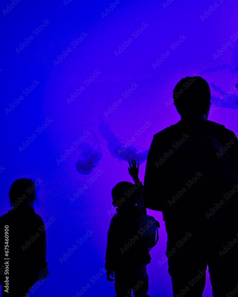 people looking at jellyfish diplay in an aqurarium