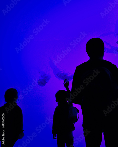 people looking at jellyfish diplay in an aqurarium