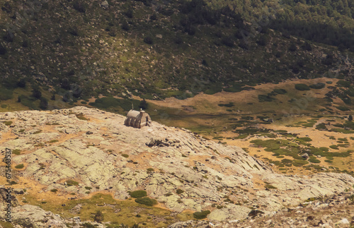 Refugio de montaña Zabala en el pico de Peñalara, Sierra de Guadarrama, Madrid, España. Ladera sur rocosa de la cima sin nieve en verano. photo