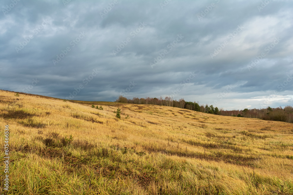 Hilly area with tall yellow grass on a windy cloudy day. Gloomy rainy sky. Autumn landscape