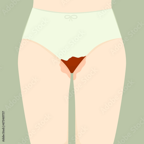  Vector drawing depicting free bleeding. Drawing depicting women's legs and panties during menstruation.