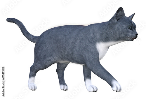 A series of various 3D cat illustrations, in different poses and fur shades. Image 27 of series