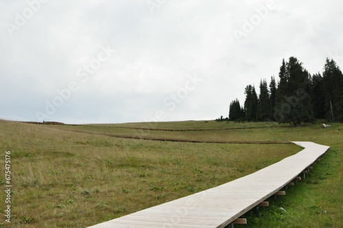 closeup of a scenic wooden boardwalk leading through  lush green grass on a sunny day