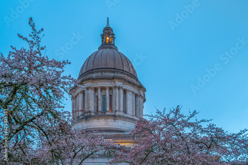 Cherry Blossoms Washington State Capitol