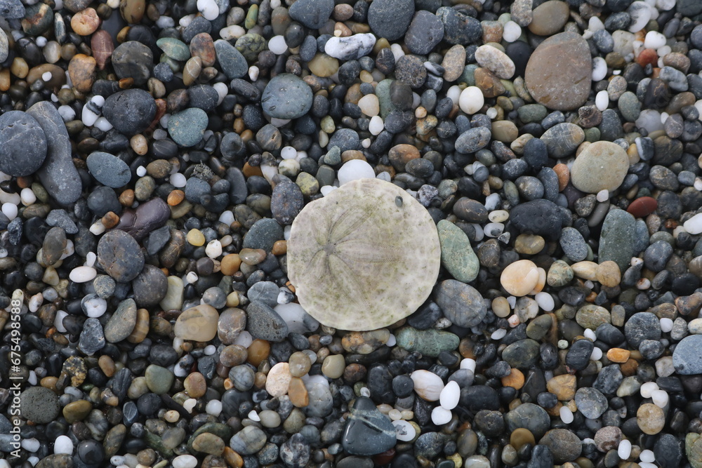 stones on the beach stones on the beach