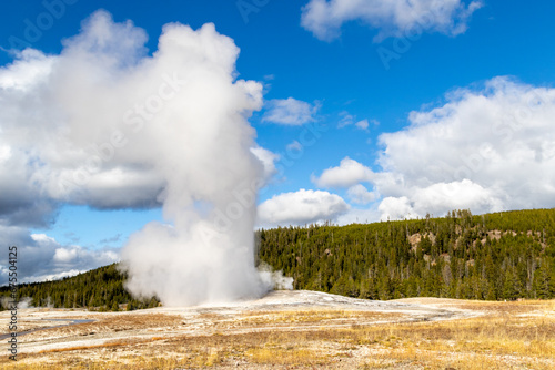 Old faithful geyser erupting shooting hot steam up to 145 feet in the air, Eruptions usually take place every 60 to 90 minutes, October 2023
