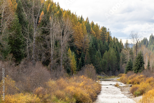View of river in a valley with a forest background in Yellowstone national park on a cold cloudy day