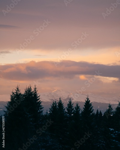 Majestic snow-covered mountain with evergreen trees in the foreground at sunset