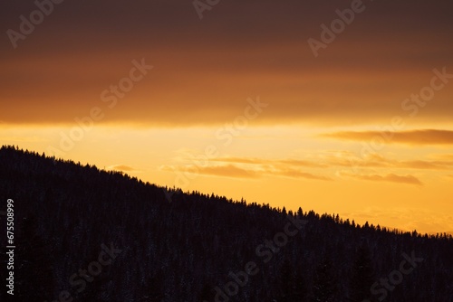 Fir forest trees on the hill silhouetted against a sunset sky
