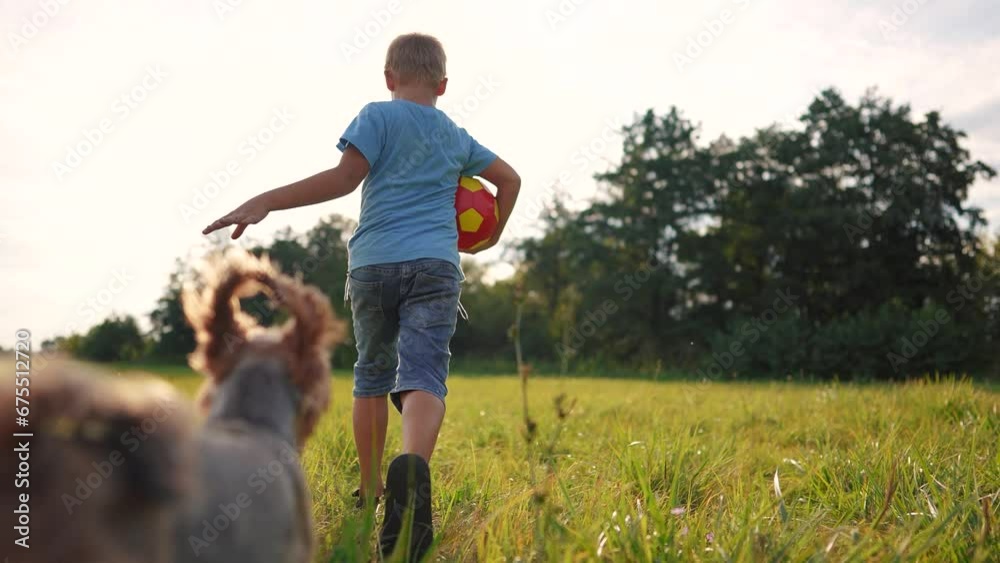 boy runs with a ball and a dog. happy family child dream concept. boy son running through a field of green grass in the park, playing with a ball and a dog leading a pet lifestyle boy runs with a ball and a dog. happy family child dream concept. boy son running through a field of green grass in the park, playing with a ball and a dog leading a pet lifestyle