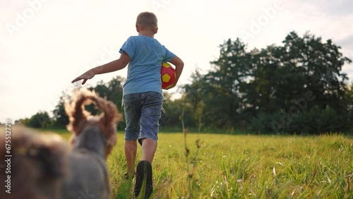 Wallpaper Mural boy runs with a ball and a dog. happy family child dream concept. boy son running through a field of green grass in the park, playing with a ball and a dog leading a pet lifestyle Torontodigital.ca