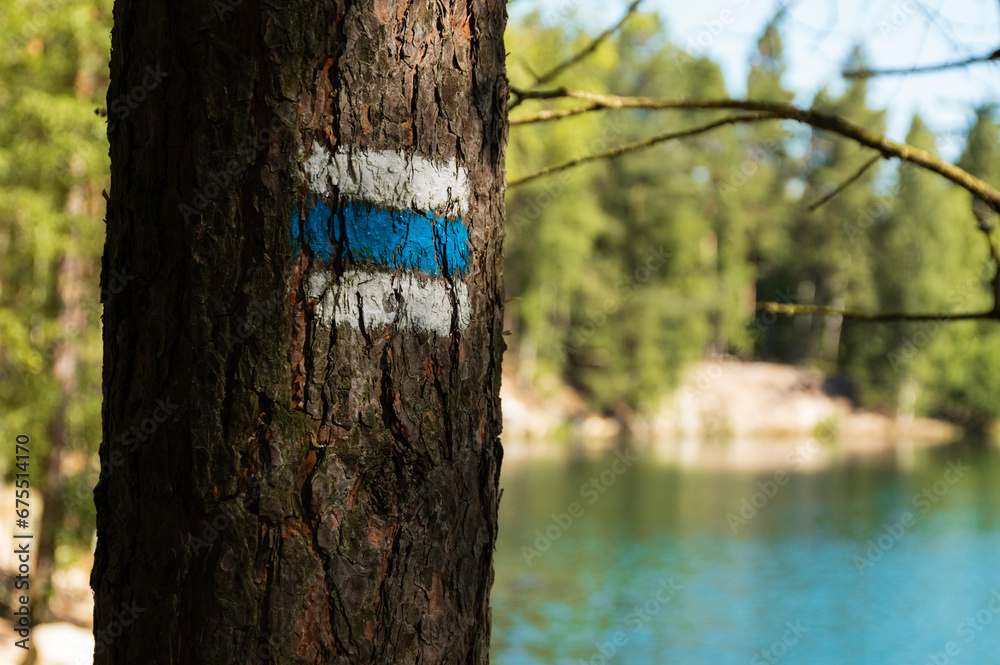 Blue Czech hiking sympol painted on tree along hiking track in Adrspach rocks Blue Czech hiking sympol painted on tree along hiking track in Adrspach rocks