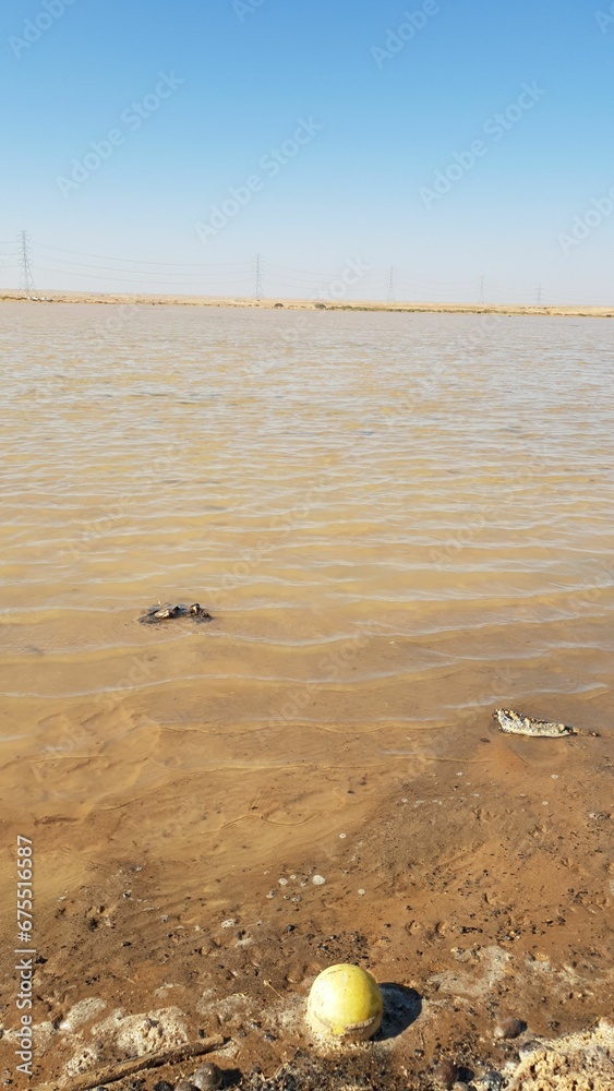 Shallow muddy lake filled with rocks under the bright sunlight Shallow muddy lake filled with rocks under the bright sunlight
