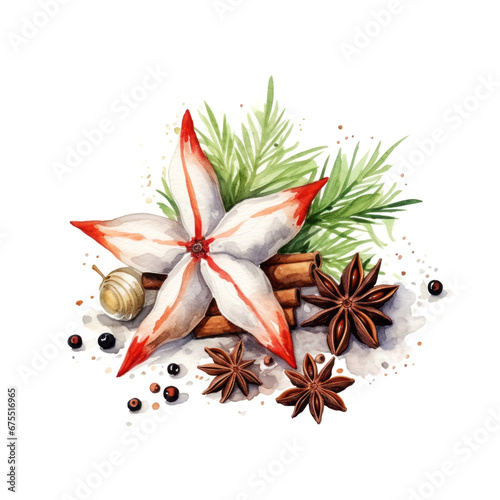 Watercolor star anise painting with rosemary branches and cinnamone sticks on white background. Winter holidays concept photo
