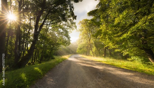 Rural gravel road through lofty green linden trees. Soft sunlight, sun rays background