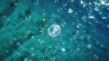  a group of bubbles floating on top of a blue ocean next to a white object in the middle of the ocean.  generative ai