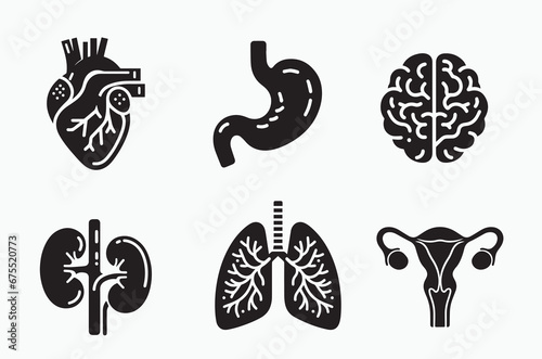 Anatomy of organs and systems set: Stomach, heart, brain, lungs, kidneys, uterus. Simple black icons photo