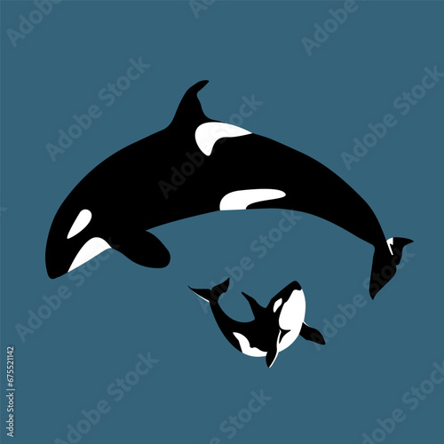 Killer Whale Aquatic Mammal set mother and baby Whale. Vector illustration