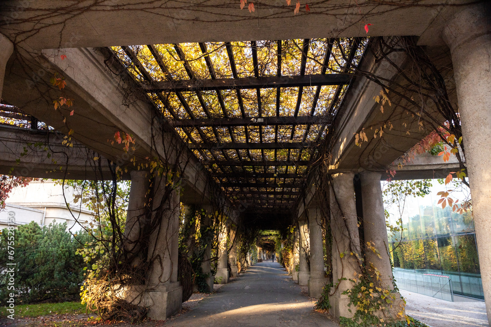 A vertical shot of a corridor under a tree covered with autumn leaves. Autumn leaves on the columns of the ancient gazebo A vertical shot of a corridor under a tree covered with autumn leaves. Autumn leaves on the columns of the ancient gazebo