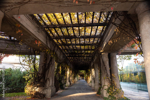 A vertical shot of a corridor under a tree covered with autumn leaves. Autumn leaves on the columns of the ancient gazebo