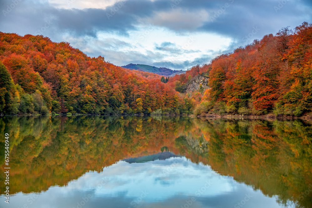 Beautiful beech and fir forest in autumn reflected in the water of a lake in the Selva de Irati, Navarra, Spain with blue sky and in perfect symmetry