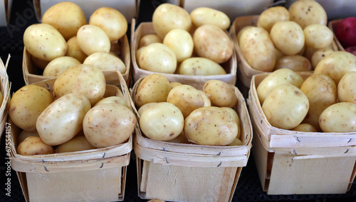 White potatoes at the Jean-Talon Market is a farmer's market in Montreal. Located in the Little Italy district, the market is bordered by Jean-Talon Street 
