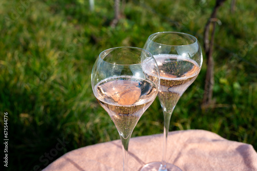 Tasting of grand cru sparkling rose wine with bubbles champagne on spring vineyards of Oger, small village with grand cru vineyards, France.