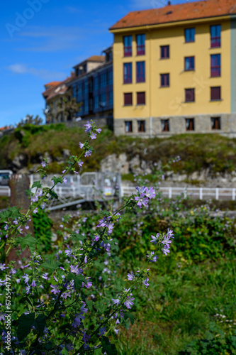 Vacation on Green coast of Asturias, views of Llanes touristic city with old harbour, North of Spain