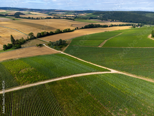 Aerial view on hills with vineyards near Urville, green champagne vineyards in Cote des Bar, Aube, south of Champange, France photo